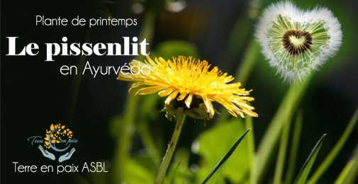 Détox de printemps en ayuvéda